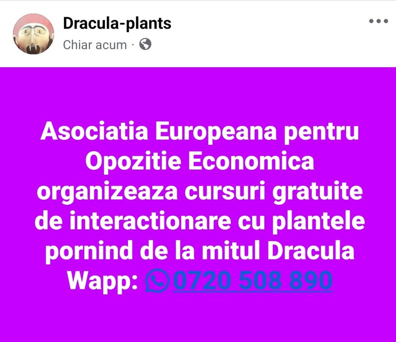 To elucidate the Dracula enigma