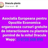 To elucidate the Dracula enigma